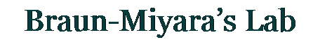 Text Box: Braun-Miyara’s Lab
